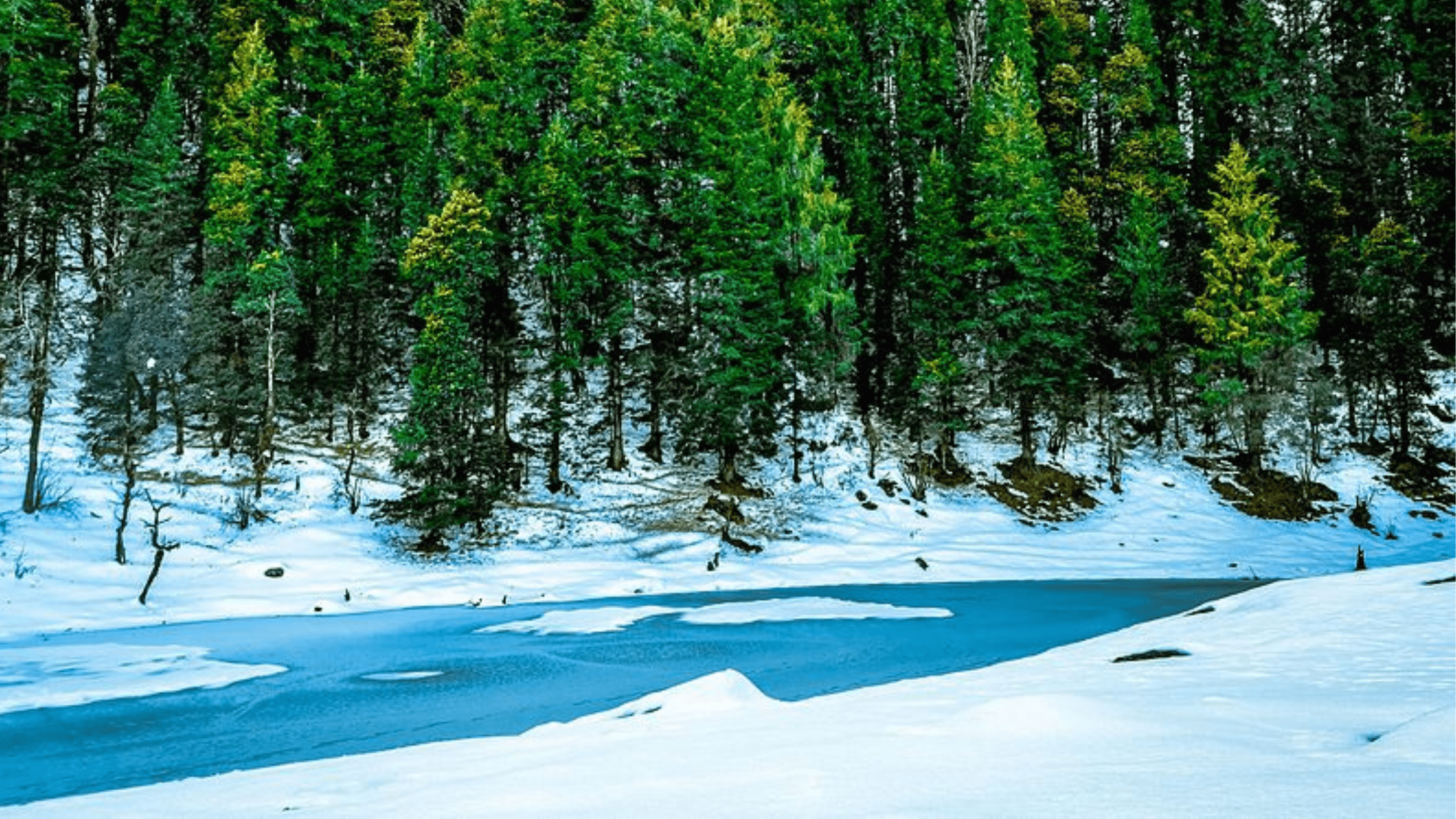 Juda Ka Talab: An Enchanted Stopover Amidst the Himalayas