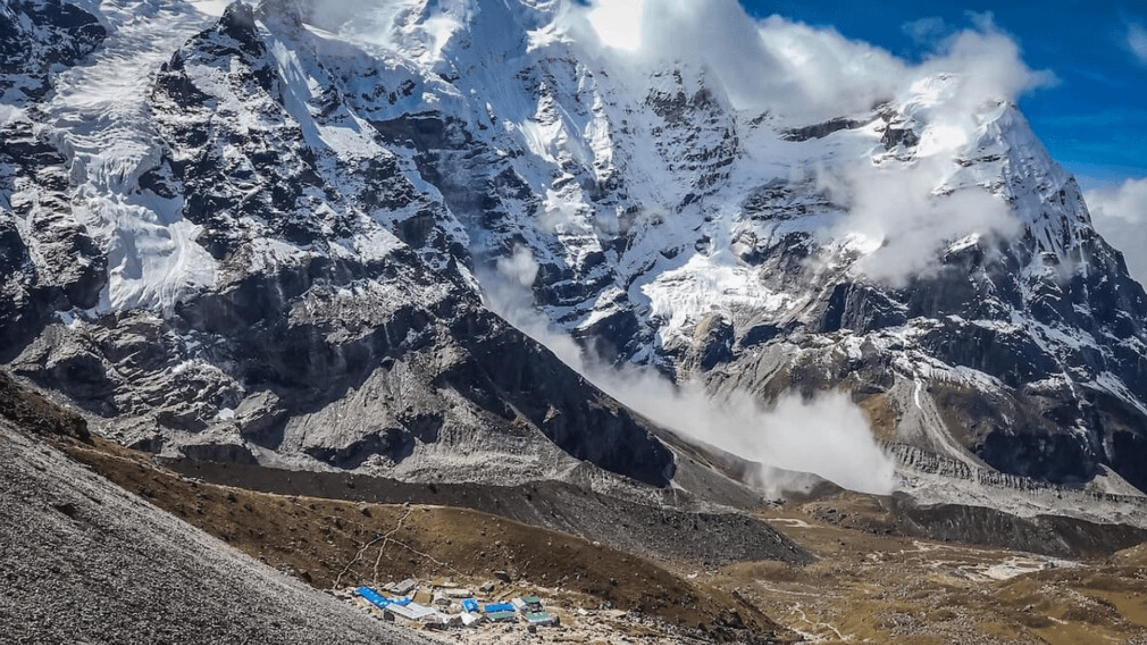 Explore Gangotri National Park: Himalayan Biodiversity