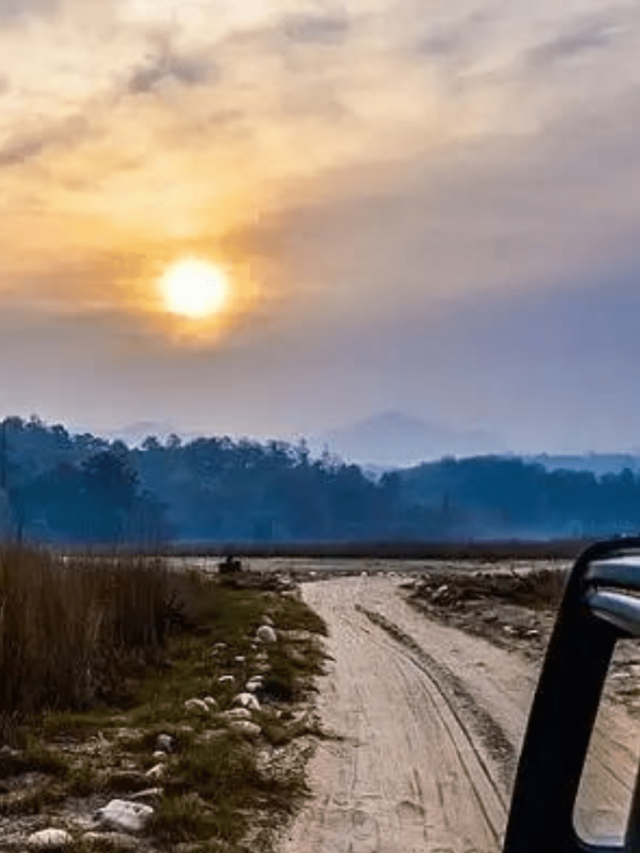 Govind Pashu Vihar National Park: Uttarakhand’s Hidden Gem