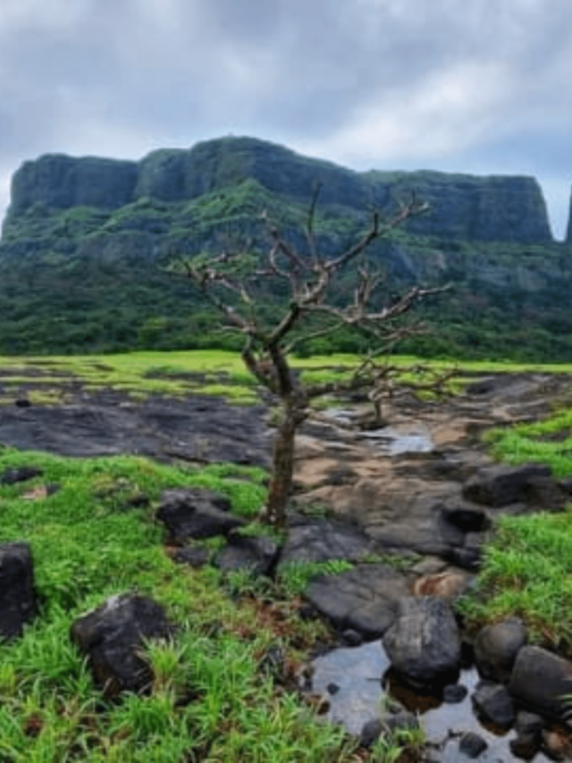 Jivdhan Fort: Unveiling History’s Enigmatic Citadel