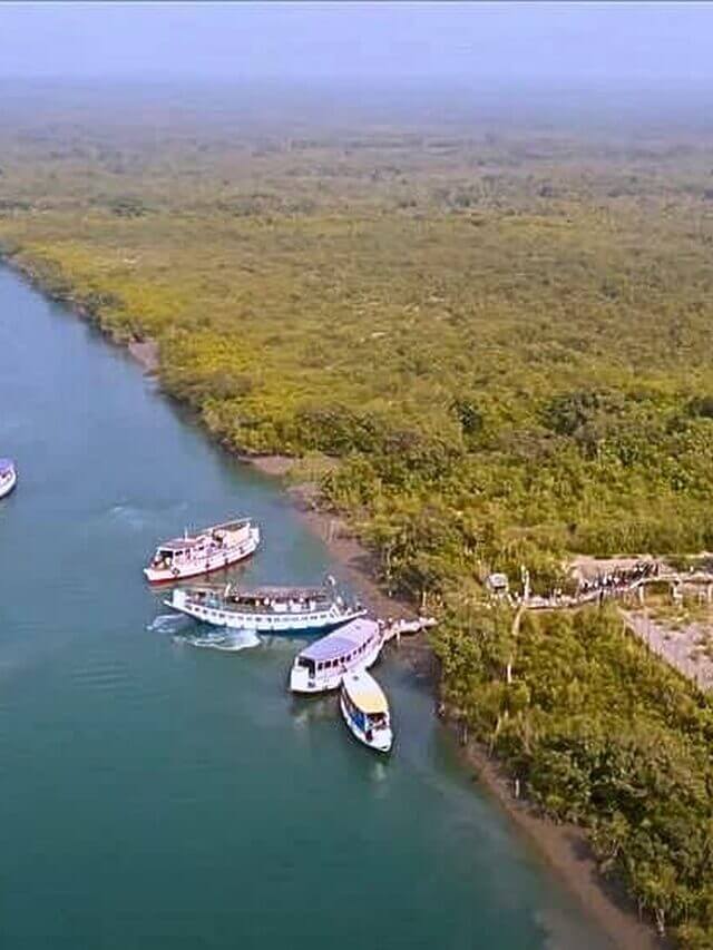 Sundarbans National Park: India’s Mangrove Wildlife